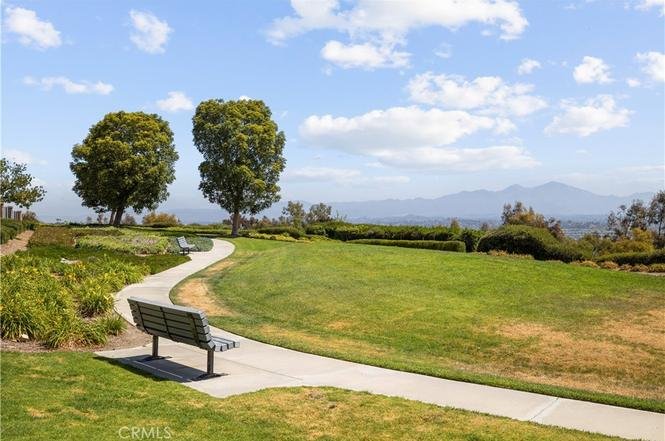 genMid.OC25107940_19_0